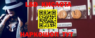 винт Новодвинск